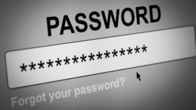 Исследование: IT-специалисты организаций представляют наивысшую угрозу для безопасности бизнеса